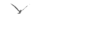 goodbird1.gif