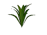 smallgreenleaf.gif